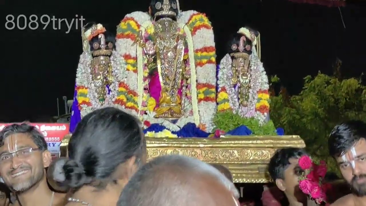 தெப்போத்ஸவம்-2 ஸ்ரீ பார்த்தசாரதி பெருமாள் திருவல்லிக்கேணி சென்னை   @8089tryit 