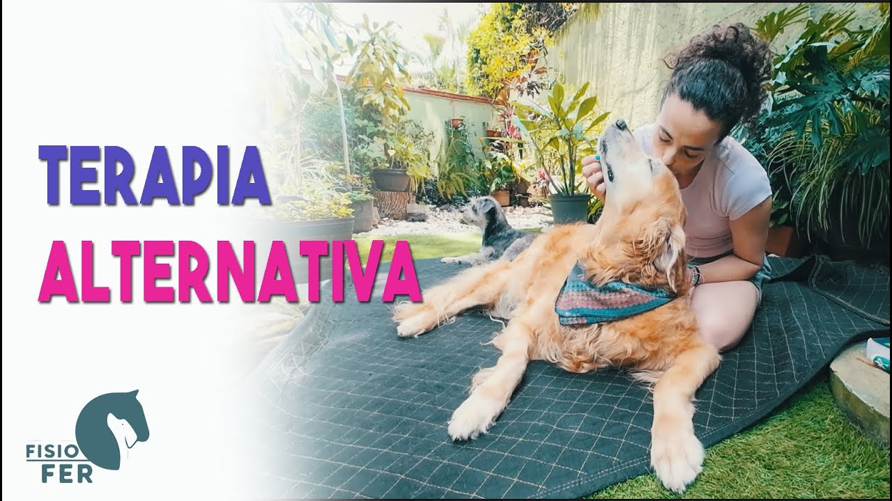 Terapia alternativa para mi perro terminal