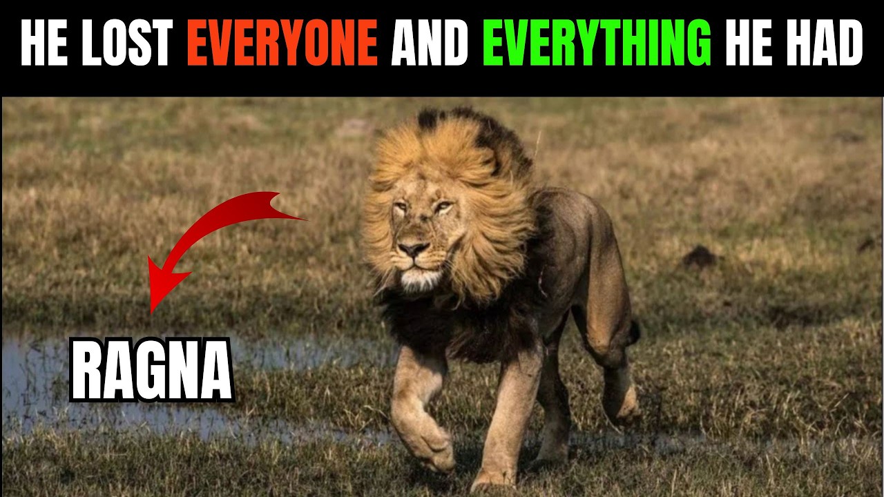 TIMELINE: 7 Nights, 0 Mistakes — How a single nomad crossed three borders and never got caught once