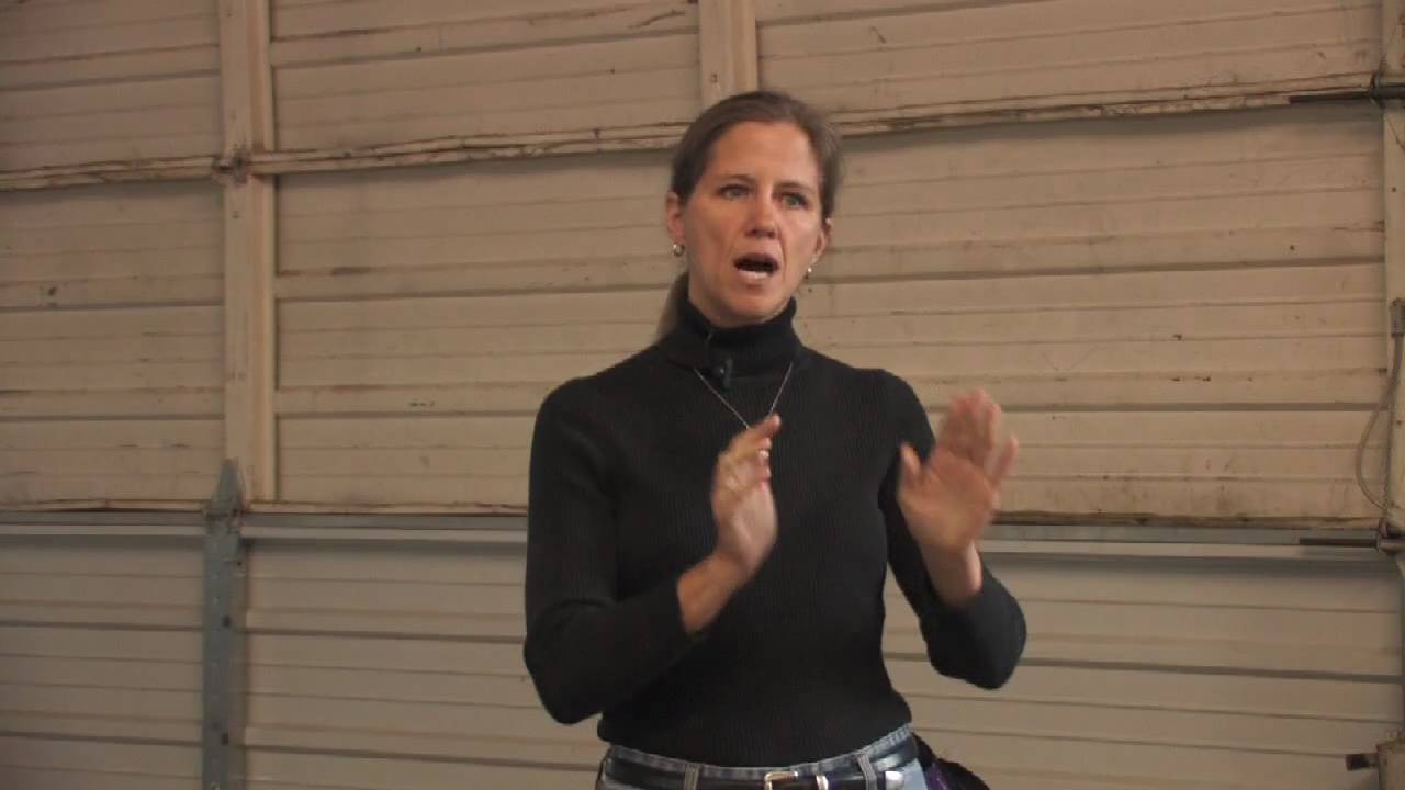 Dog Training : How to Train Dog Not to Bark at Visitors