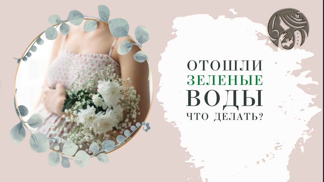 ЗЕЛЕНЫЕ ВОДЫ - что делать? 🐸💦