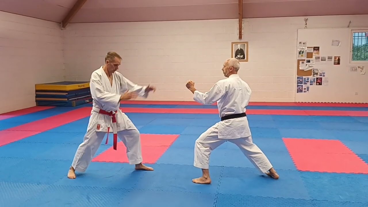 techniques de jambes en yori ashi