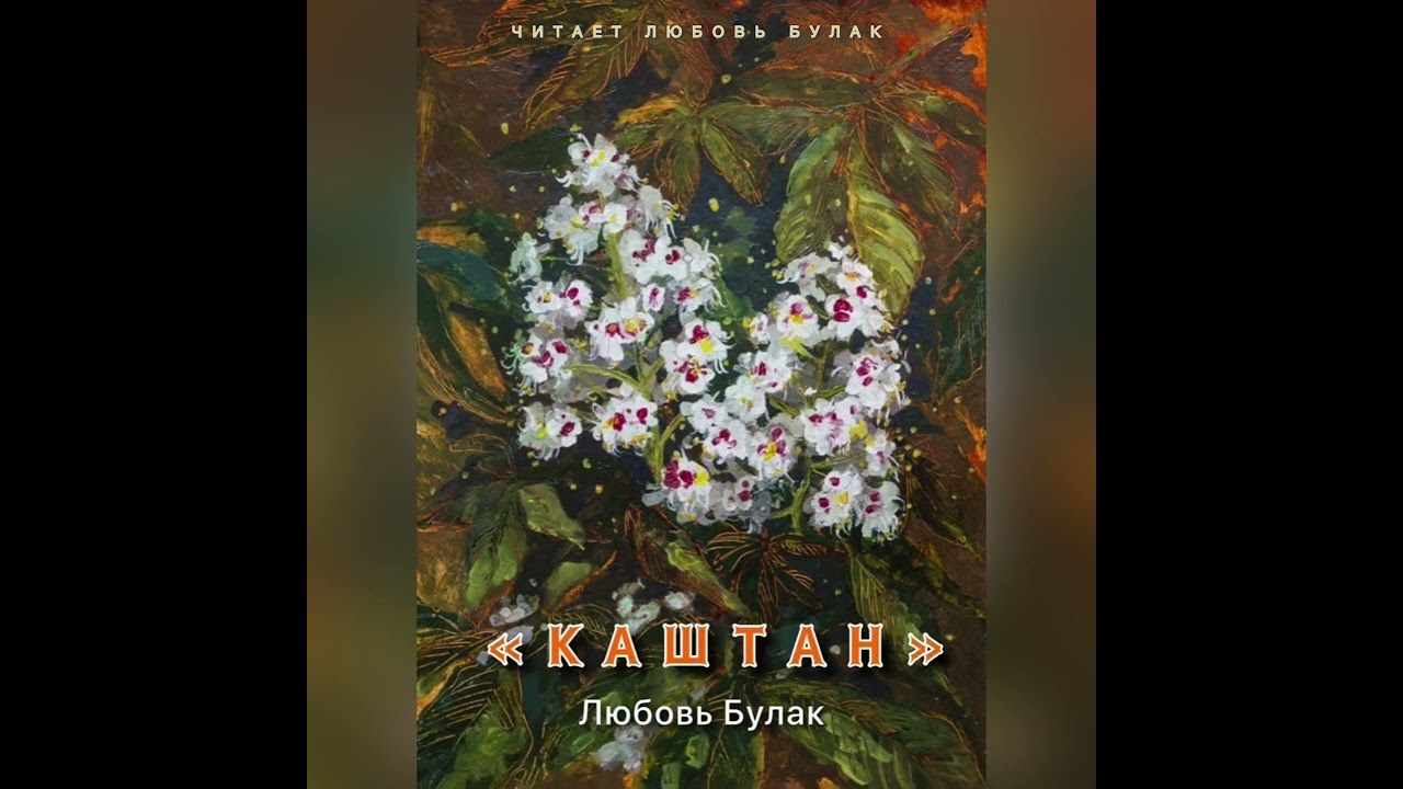 « Каштан» Любовь Булак #сказка  #аудиосказка 