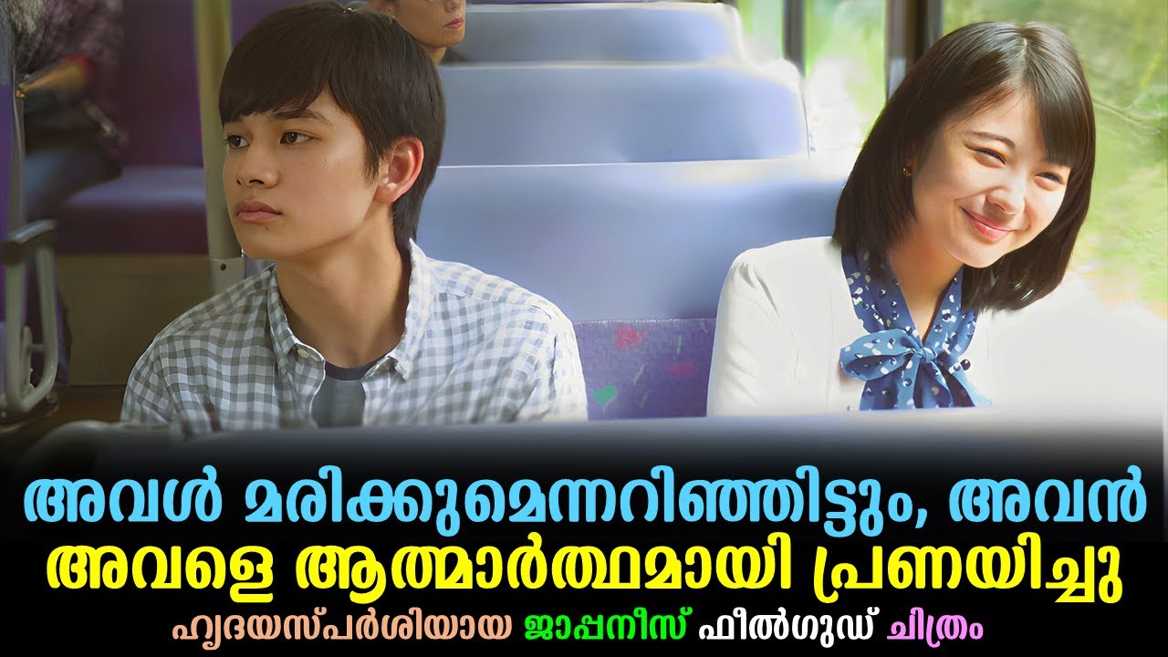 Let Me Eat Your Pancreas movie Explained In Malayalam | Japanese Movie Malayalam explained 