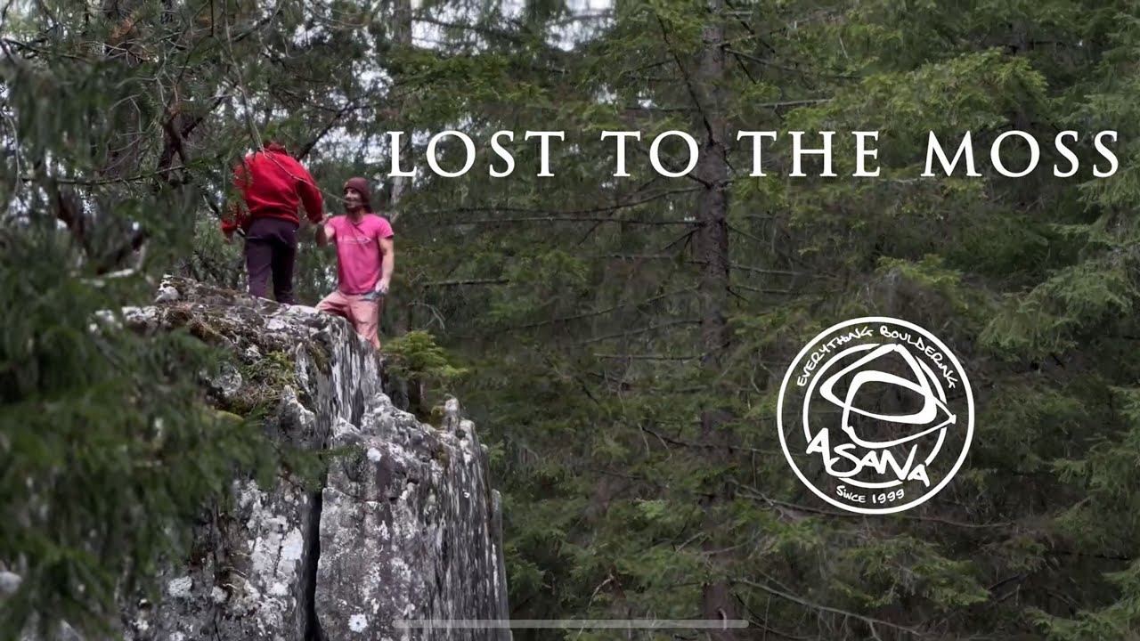 Lost to the Moss