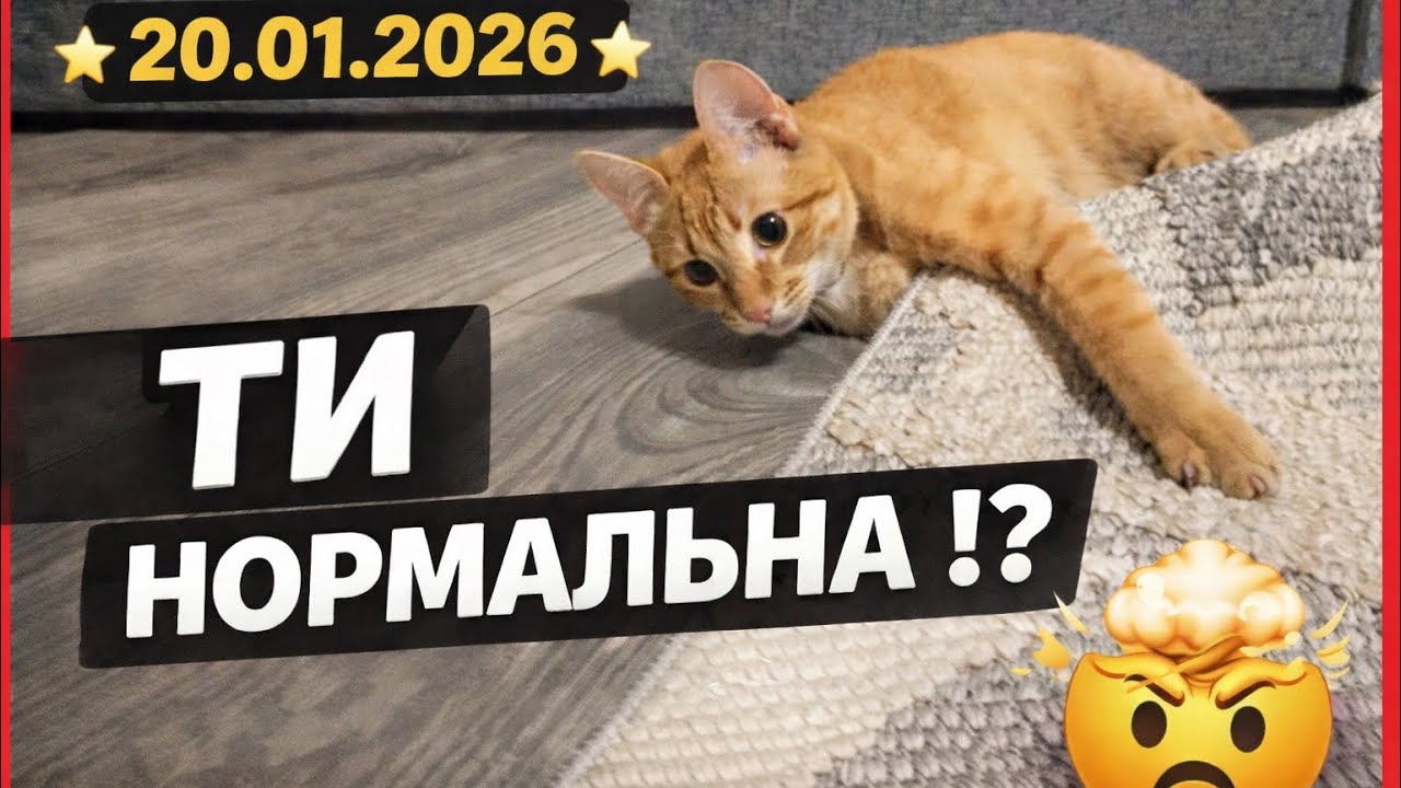 ⭐️20.01.2026⭐️ ТИ НОРМАЛЬНА !? 