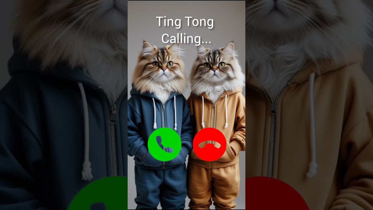 Ting Tong Calling 🤙 #trendingshorts #callertone