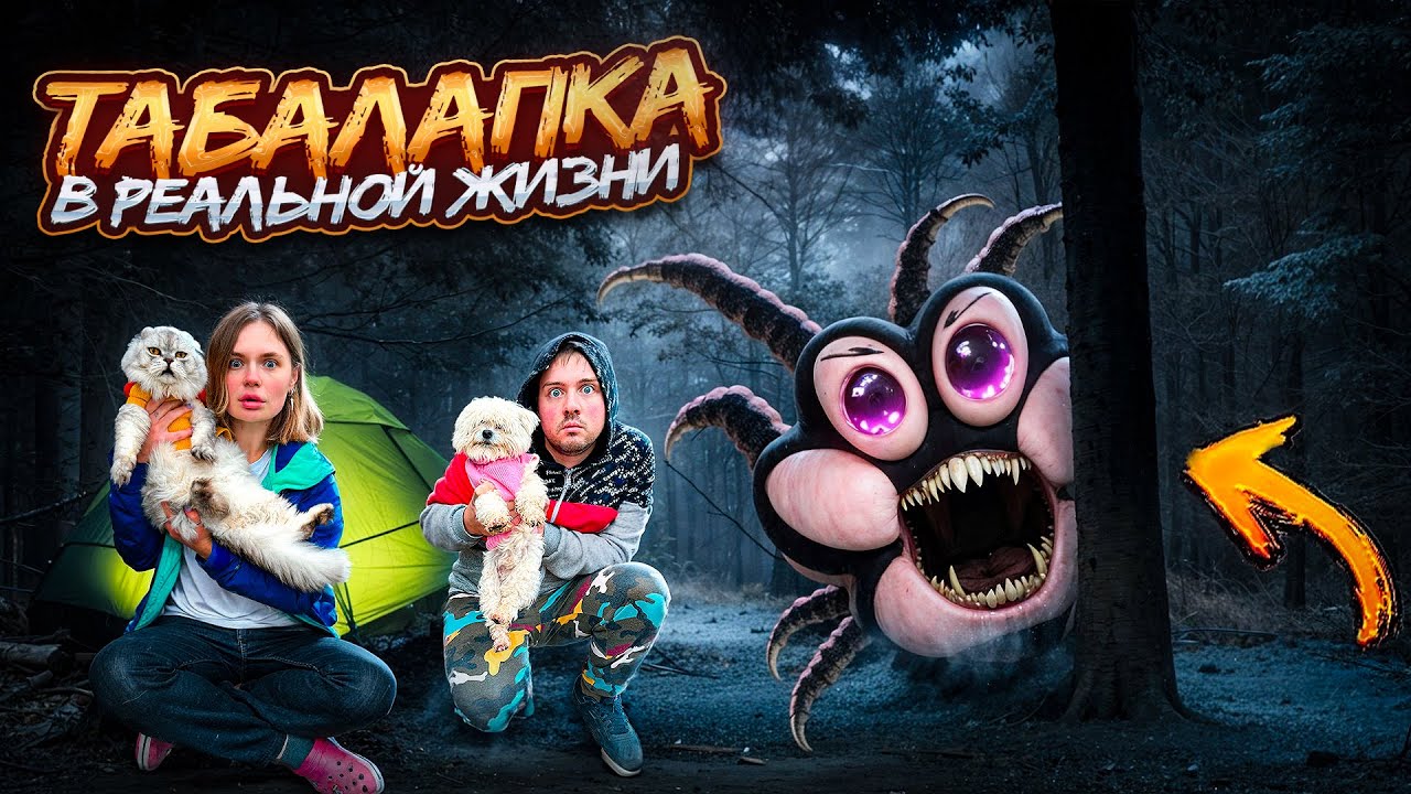 МИСТИЧЕСКАЯ ТАБАЛАПКА В РЕАЛЬНОЙ ЖИЗНИ В НАШЕМ ДОМЕ С КОТОМ И СОБАКОЙ