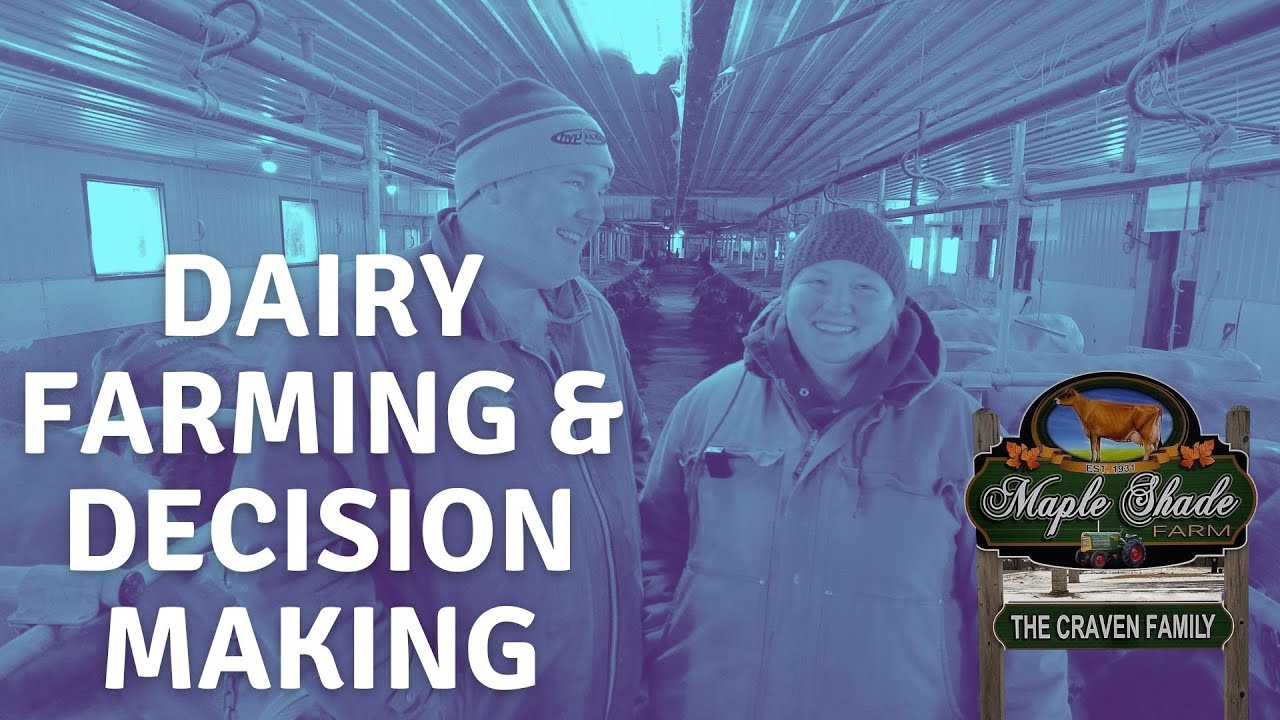 Dairy Farming: A Life of Sacrifice with Surprising Joys