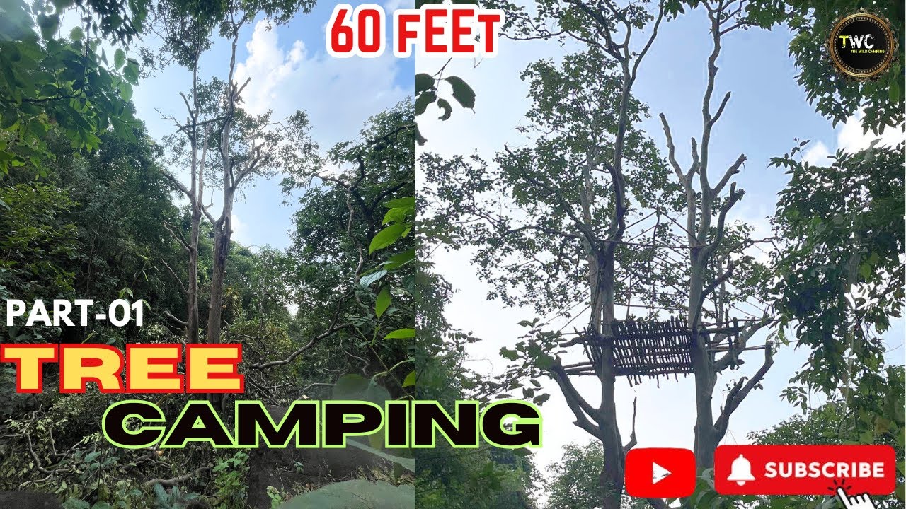 [PART - 01]  60 FEET Tree House Camping❗️Tree Camping ❗️पेंड वाला घर ❗️Tree House In Deep Forest ❗️