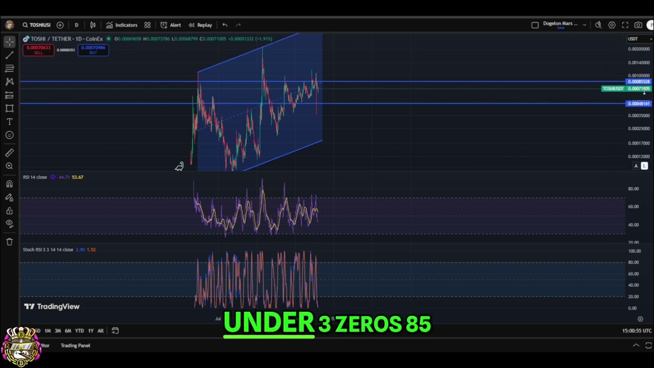 Toshi Crypto Update: Bullish Signals & Recovery Rally? 