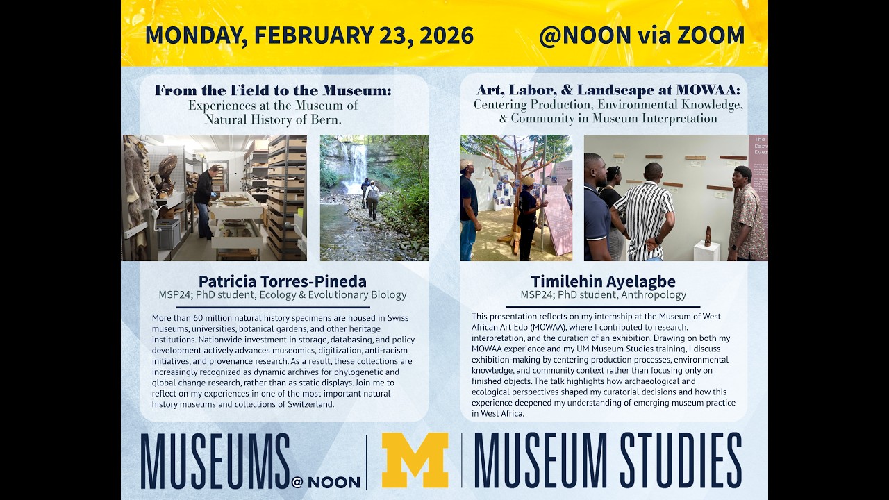Internships at the Museum of West African Art and the Museum of Natural History of Bern, Switzerland