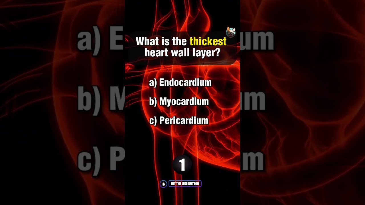 Ultra Instinct Anatomy Quiz Part 21 #epicscience #sciencepower #triviagenius #knowledgebattle