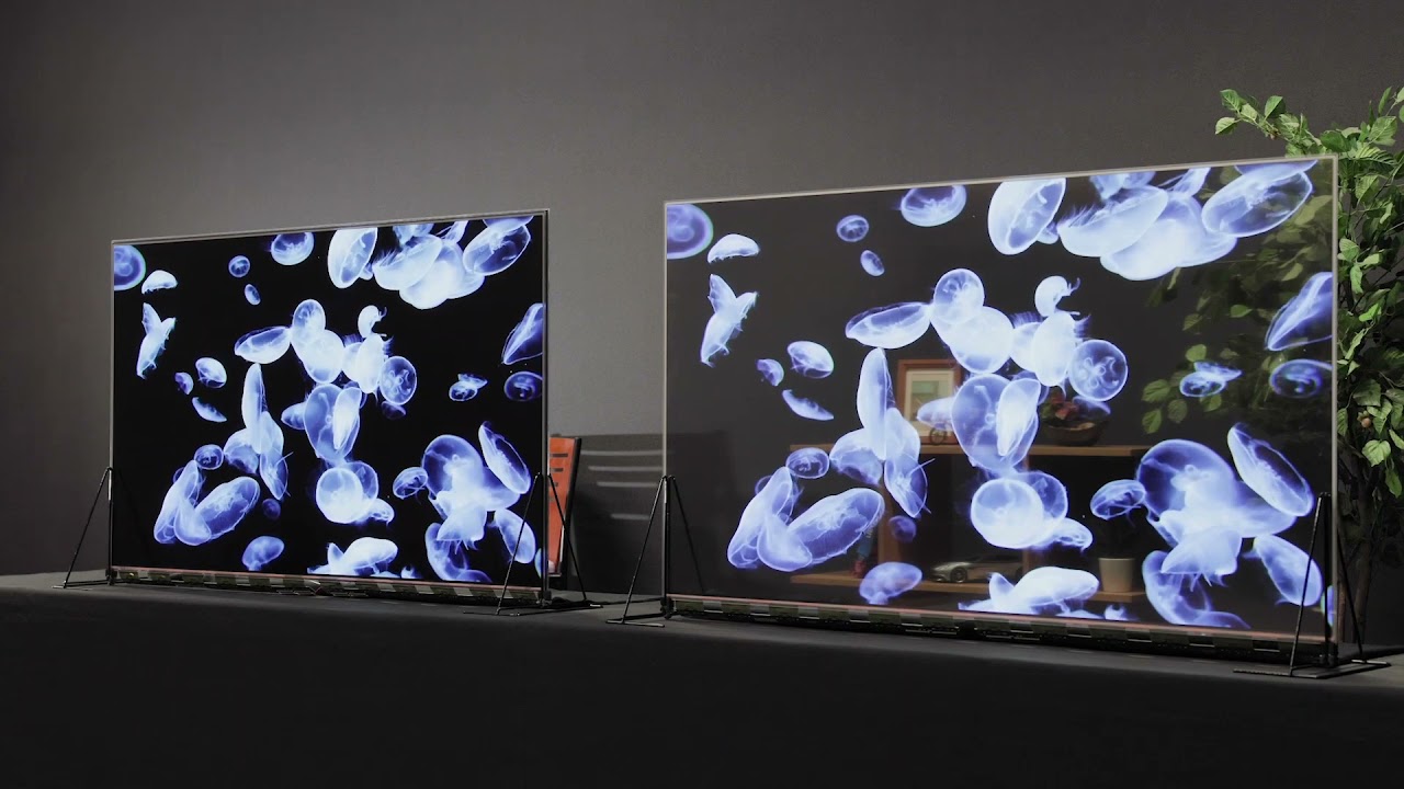 Panasonic Transparence OLED