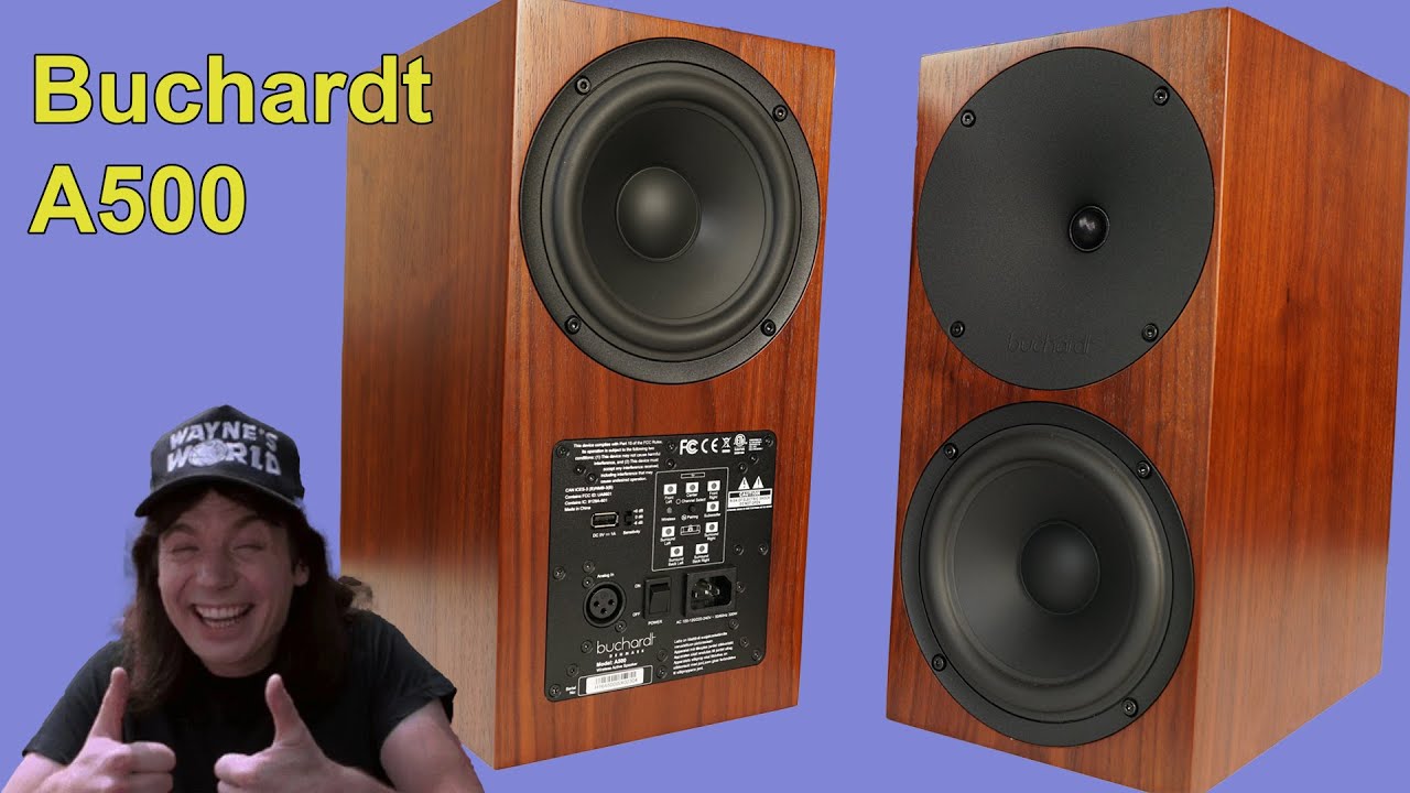 The Buchardt A500 is excellent.  DSP built-in, tons of options and even wireless (with the add-on).