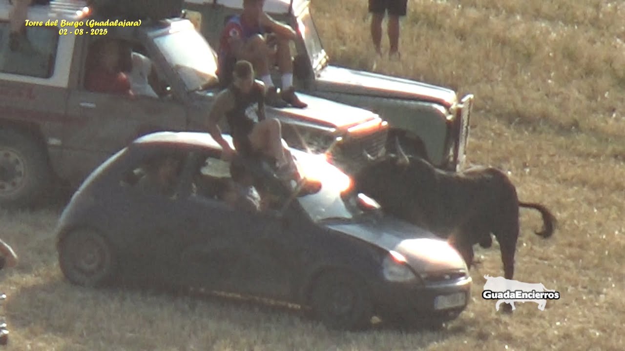 Un Poco de Miedo en el Coche Torre del Burgo (guadalajara) 02 - 08 - 2025 GuadaEncierros