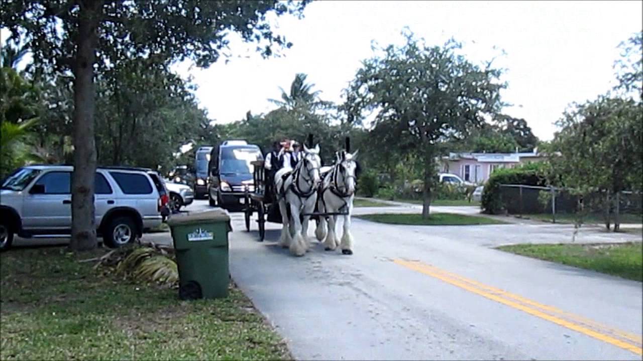 Horse Drawn Funeral Hearse