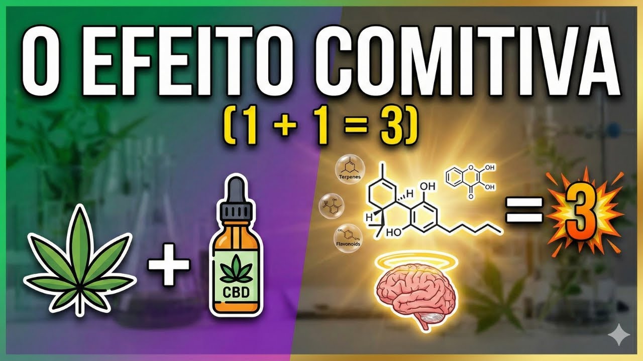 O Efeito Comitiva: Quando 1 + 1 é igual a 3.