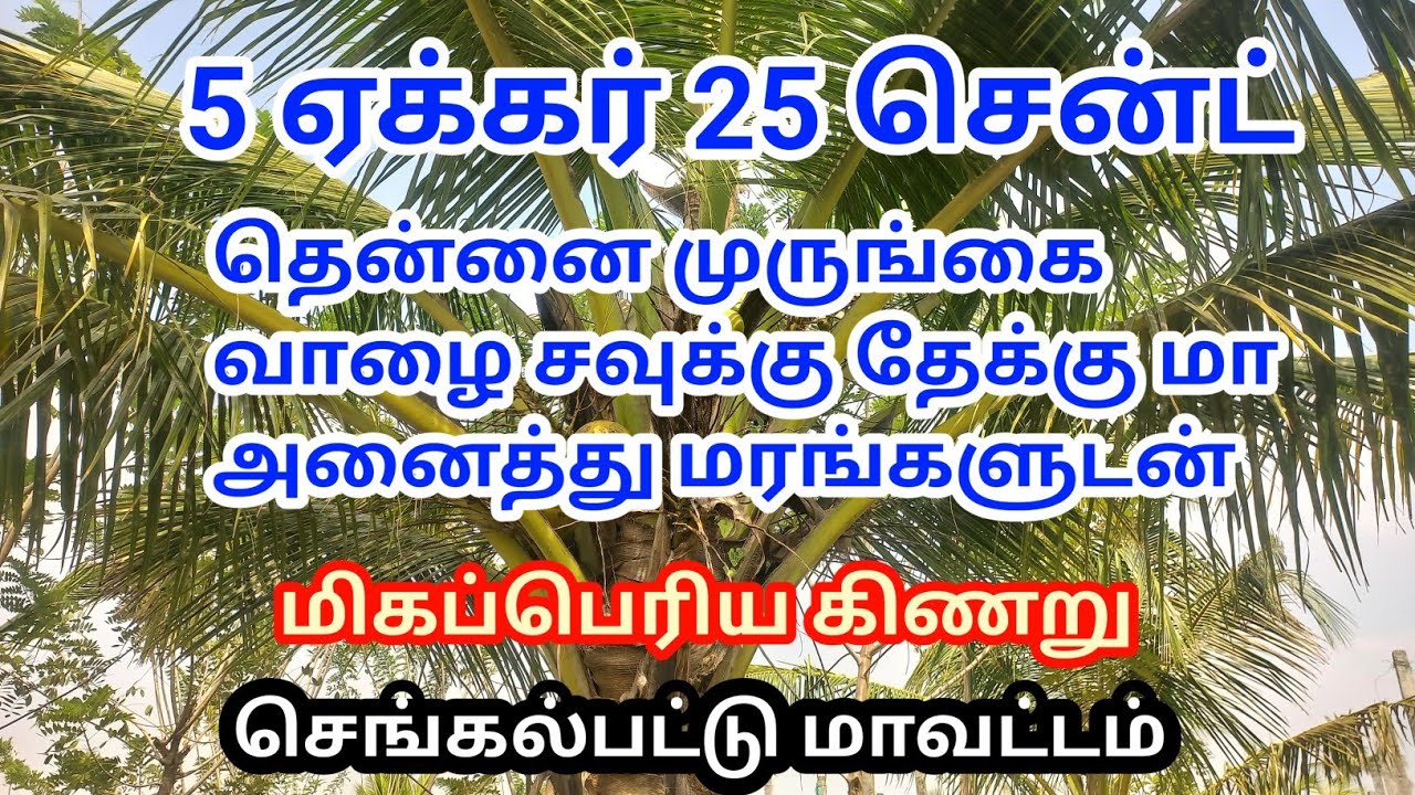 5.25 (ஏக்கர்)34 லட்சம்👌மிகக் குறைந்த விலையில் விவசாய நிலம் விற்பனைக்கு#trending #Landsale #farmland