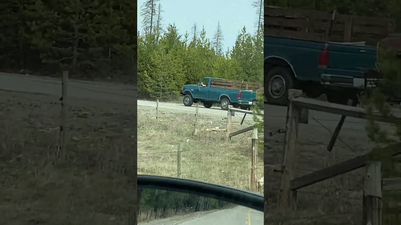 Hauling a 1969 Chevy truck