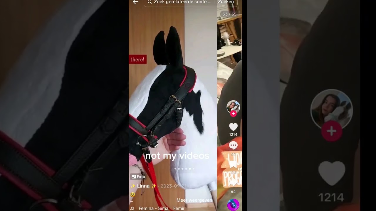 hobbyhorse complimation