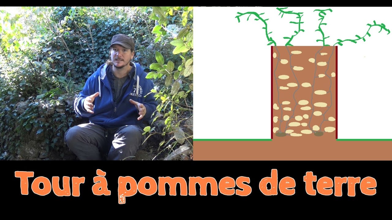 Tour à pommes de terre (partie 1/2)