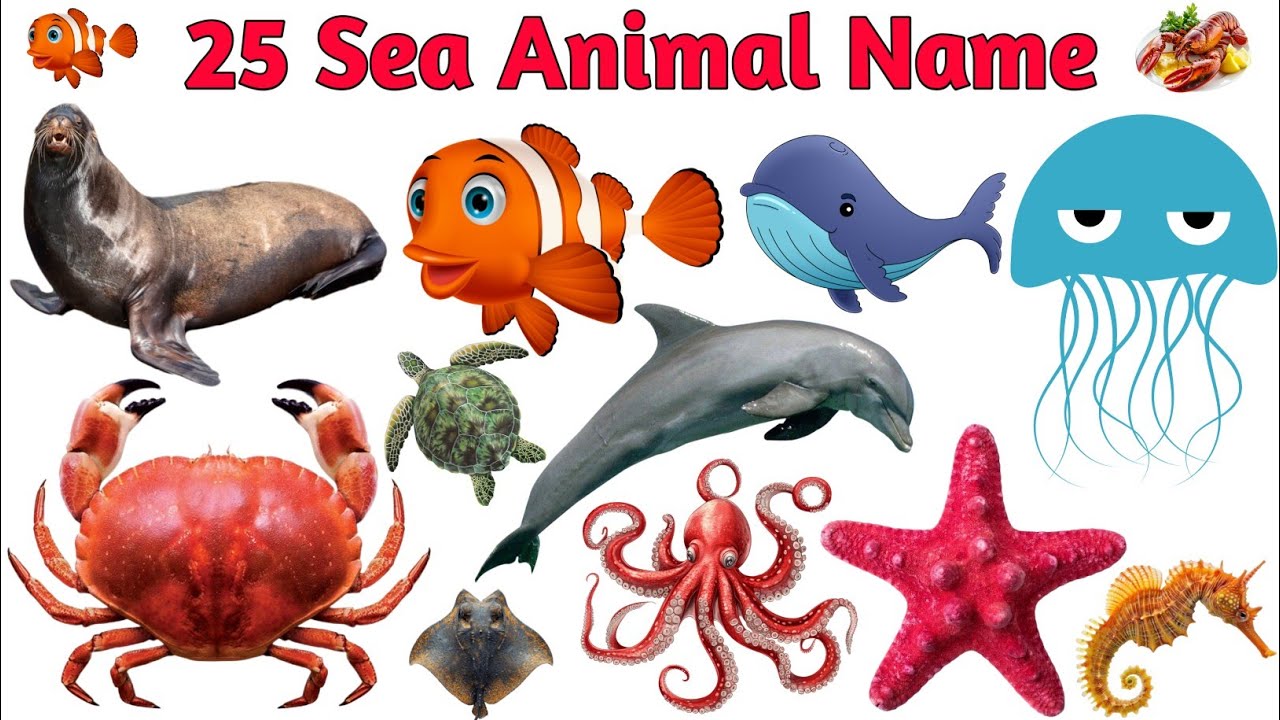 25 Water Animals Name English to Hindi | पानी में रहने वाले जानवरों के नाम | sea Animals Name