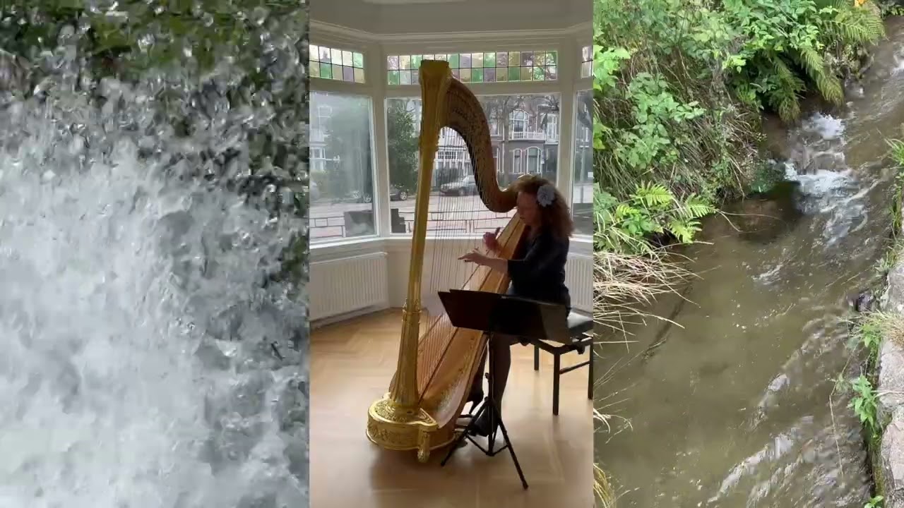 Enya - Watermark, on harp