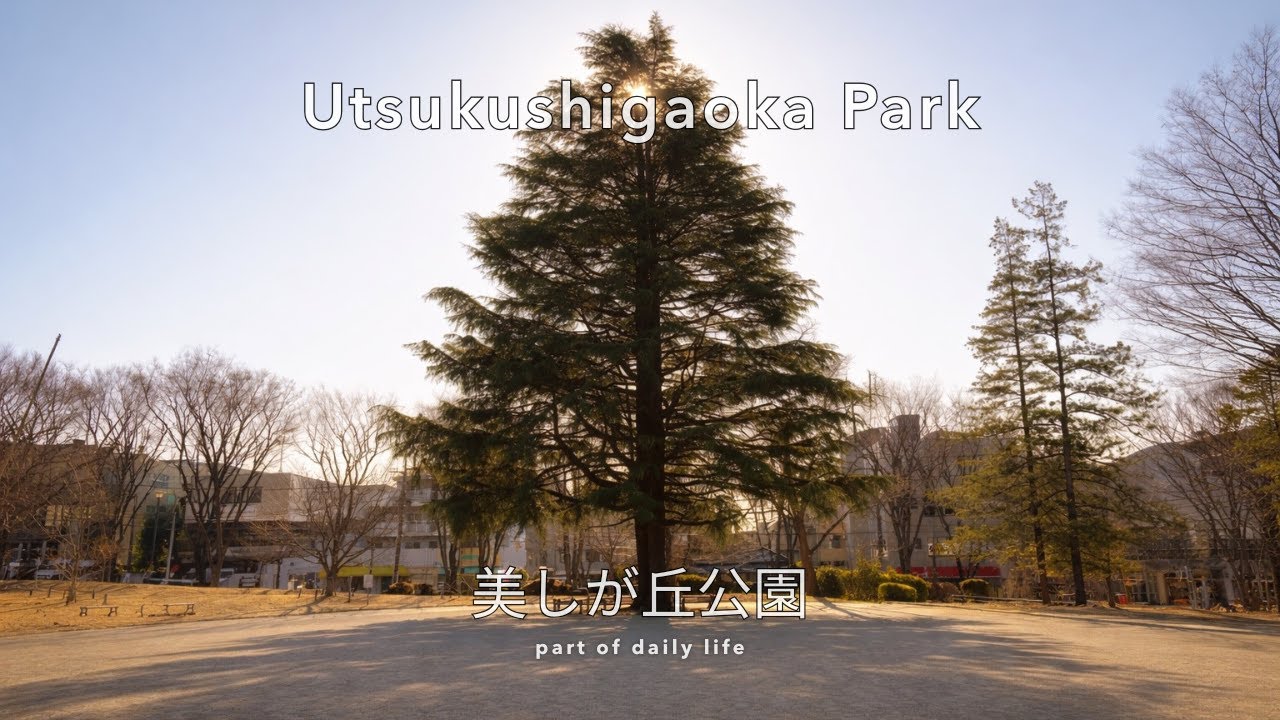 A Short Walk Before the Day Begins – Utsukushigaoka Park | 美しが丘公園 | Yokohama (4K)