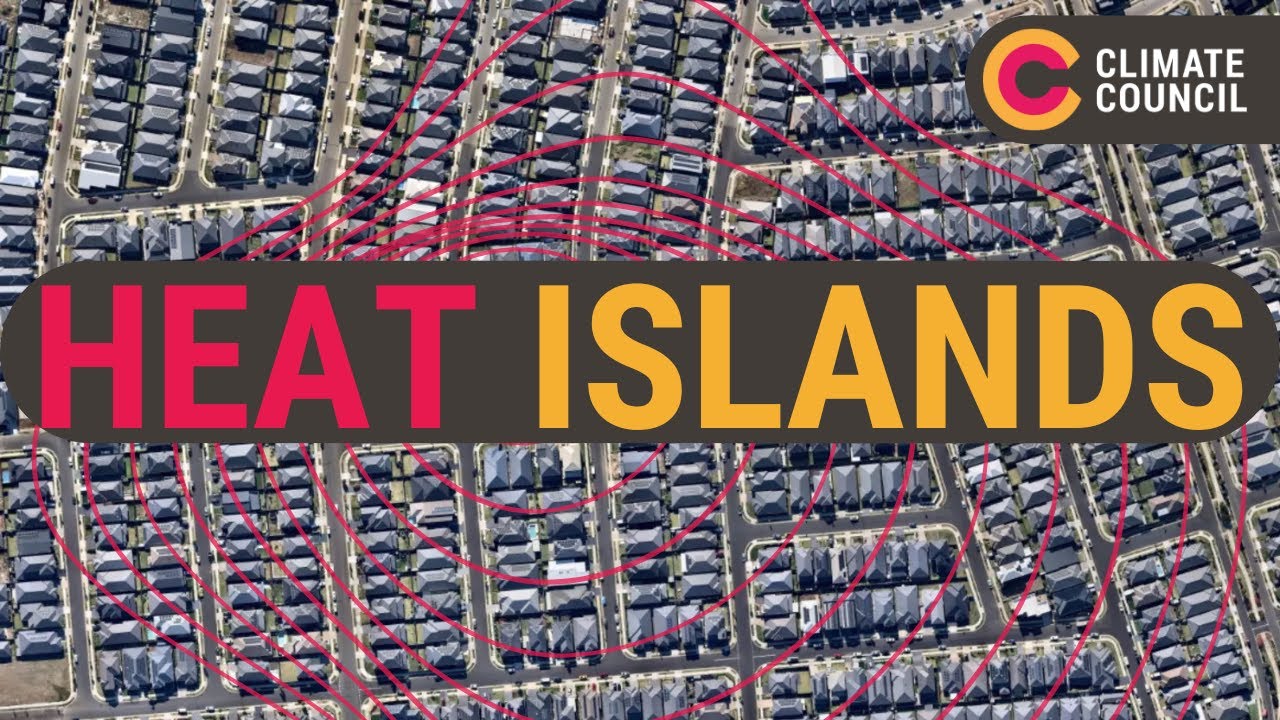Too hot to handle, cities and heatwaves