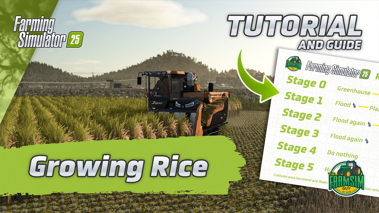 How to Grow Rice - A Farming Simulator 25 Tutorial
