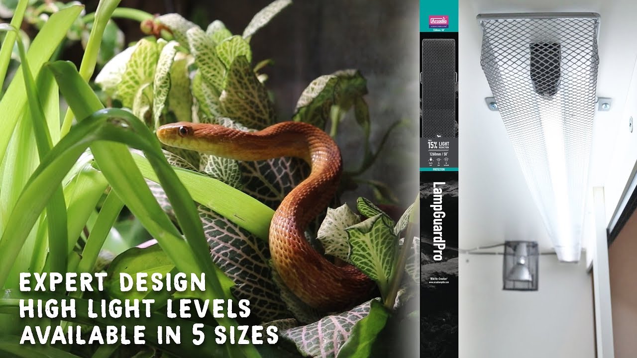 LampGuardPro, Easy To Use UV Lamp Cage By Arcadia Reptile!! Full Video
