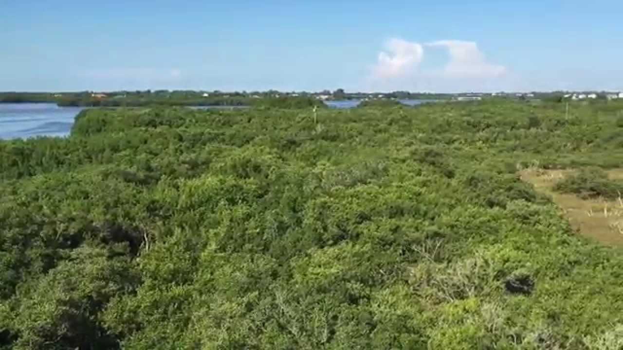 I Love Florida: Weedon Island Preserve Fall 2015