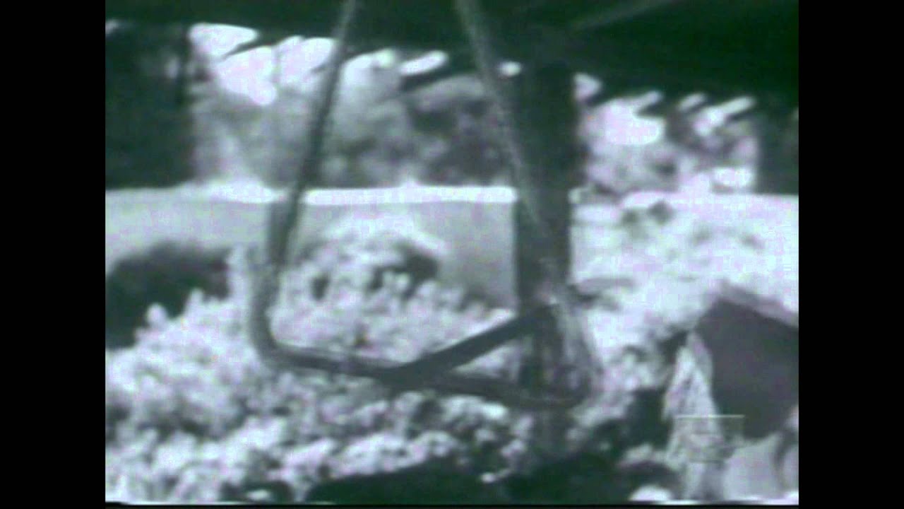 DOCU D-L'histoire du sandwich-La bouffe Américaine