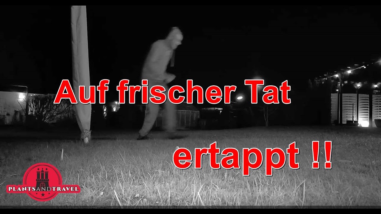 &Uuml;berwachungskamera / Wildkamera GardePro E6P Max, Nachtsicht, Weitwinkel