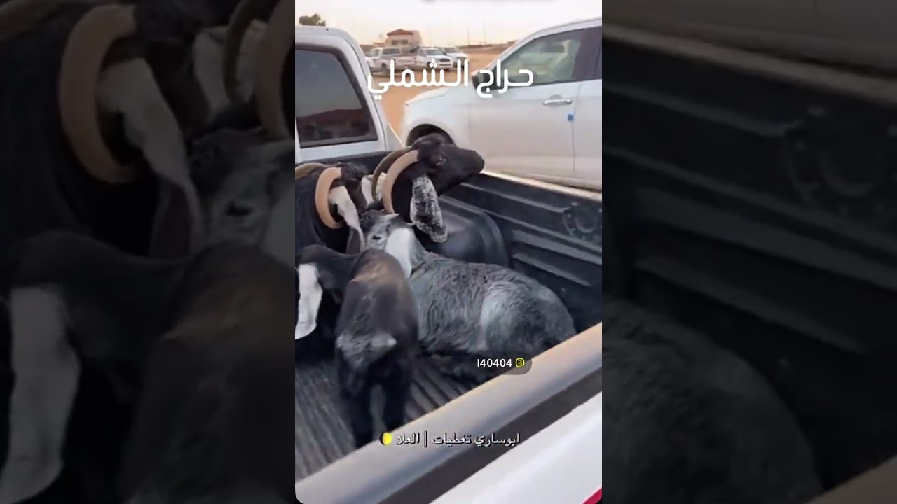 حراج