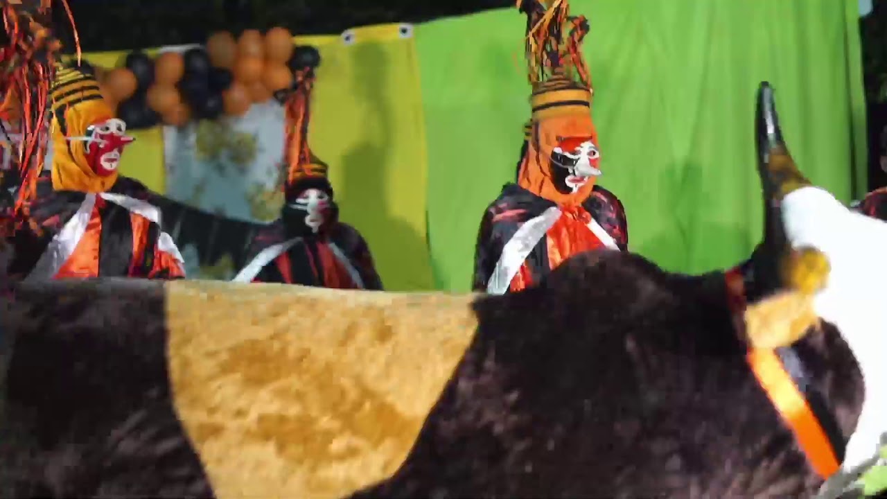 LIVE DE ANIVERSÁRIO DO TOURO BANDIDO