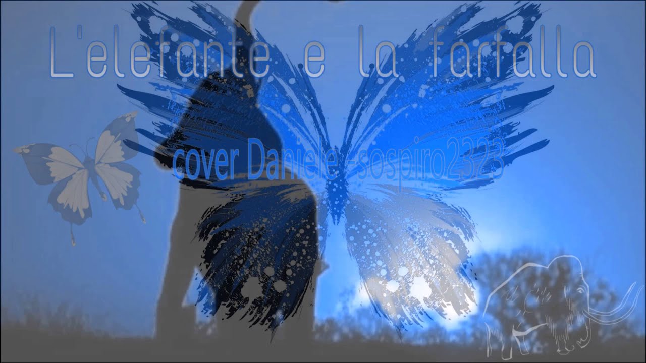 L'elefante e la farfalla , cover sospiro2323