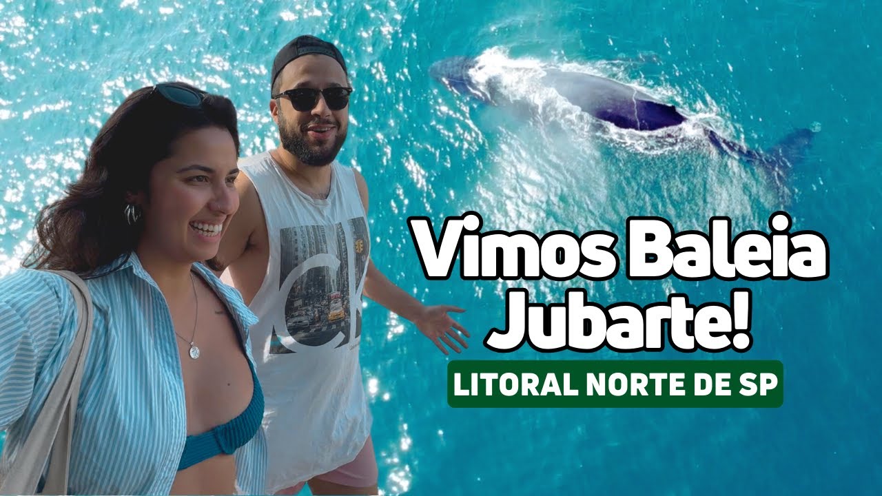 Avistamento de Baleias Jubarte em Ilhabela - Experiência INCRÍVEL no Litoral Norte de SP!