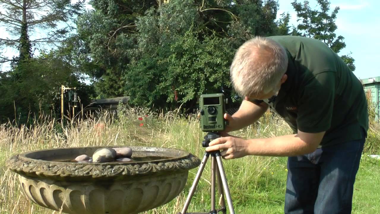 How to use your trailcam overlooking a bird bath.