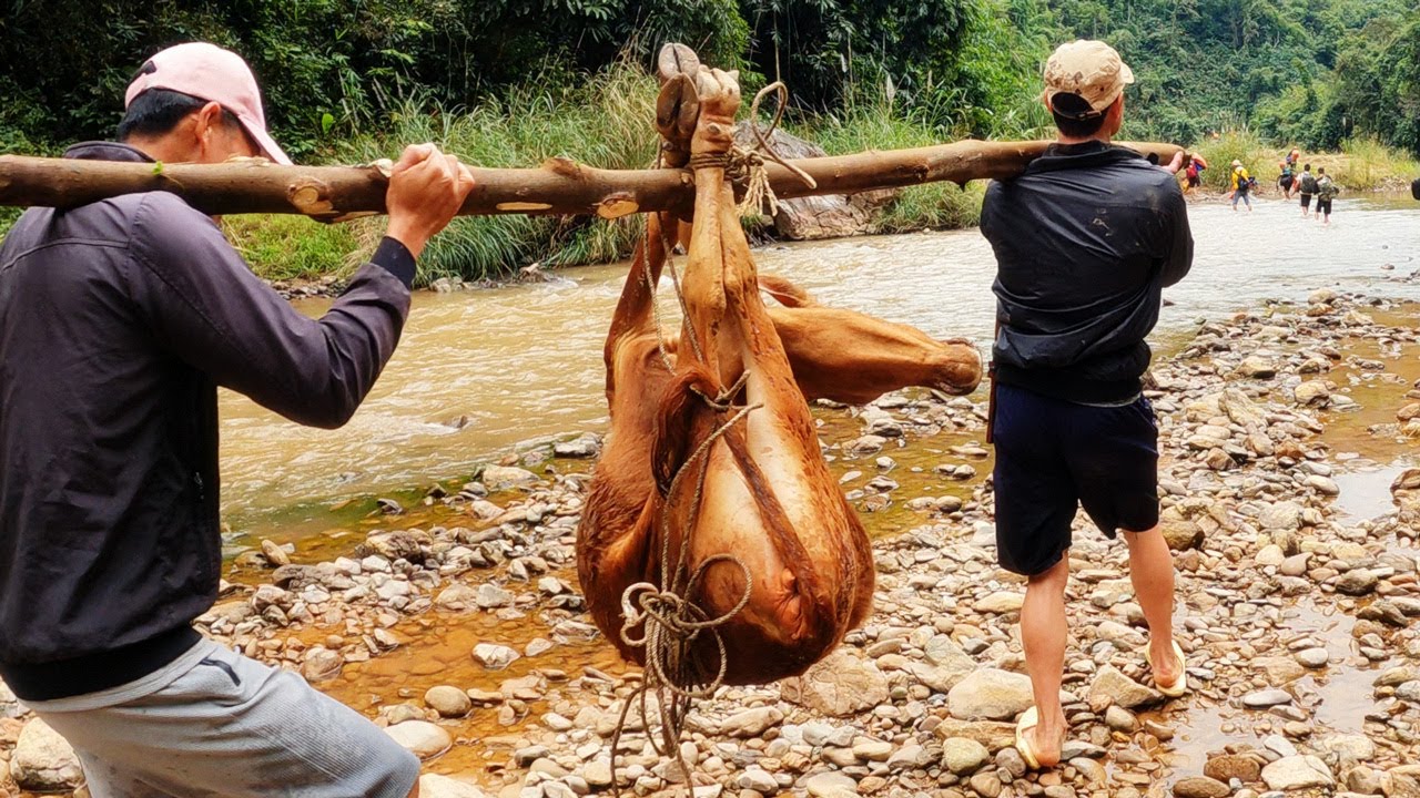 ĂN TẾT TRONG RỪNG • Tập 1