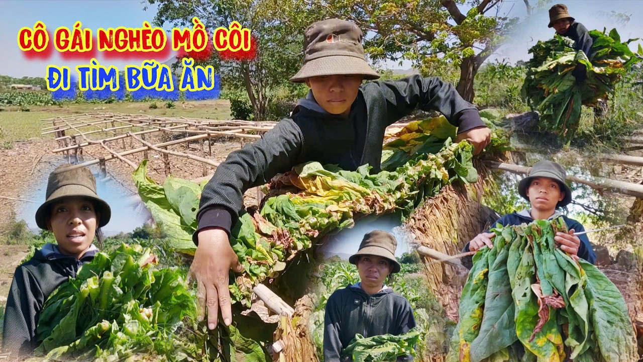 C&Ocirc; G&Aacute;I ngh&egrave;o mồ c&ocirc;i Cha Mẹ, vất vả t&igrave;m kiếm từng BỮA CƠM - tập 1706