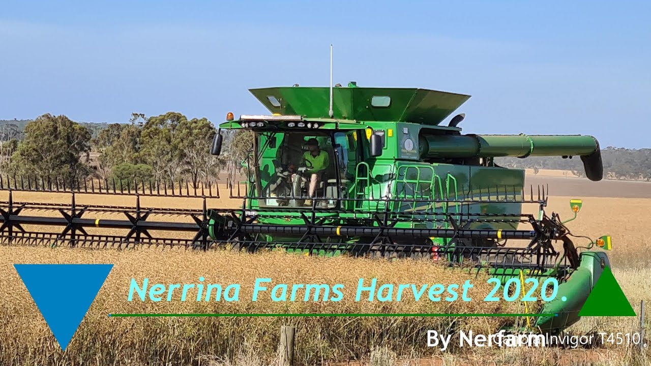 Harvest of 2020
