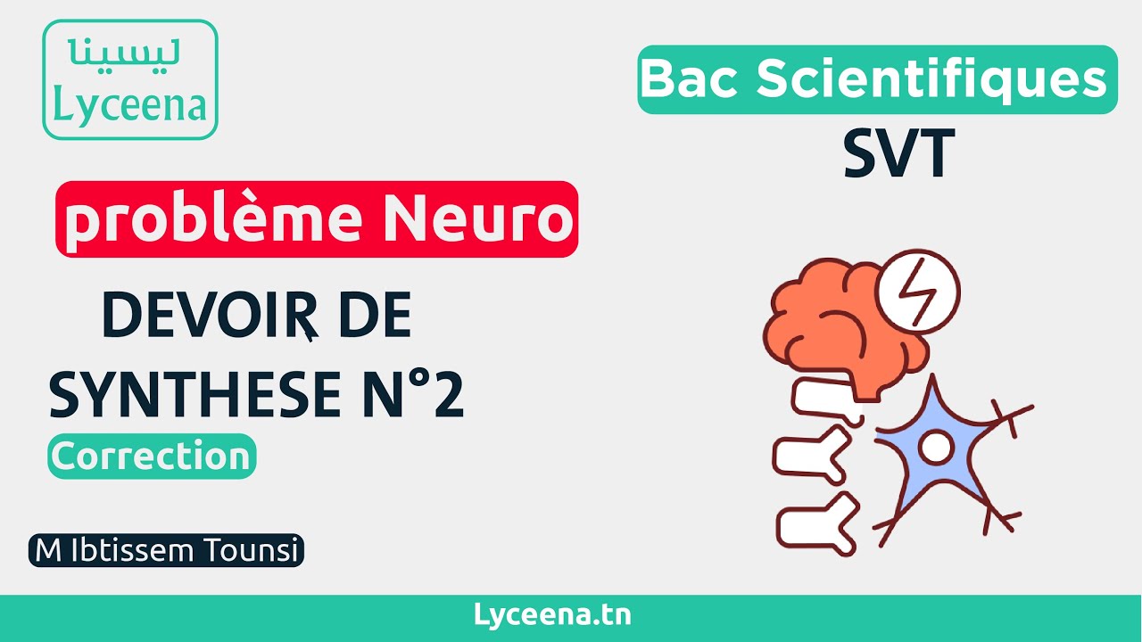 🟢SVT: Correction l Problème Neuro - Bac Scientifiques