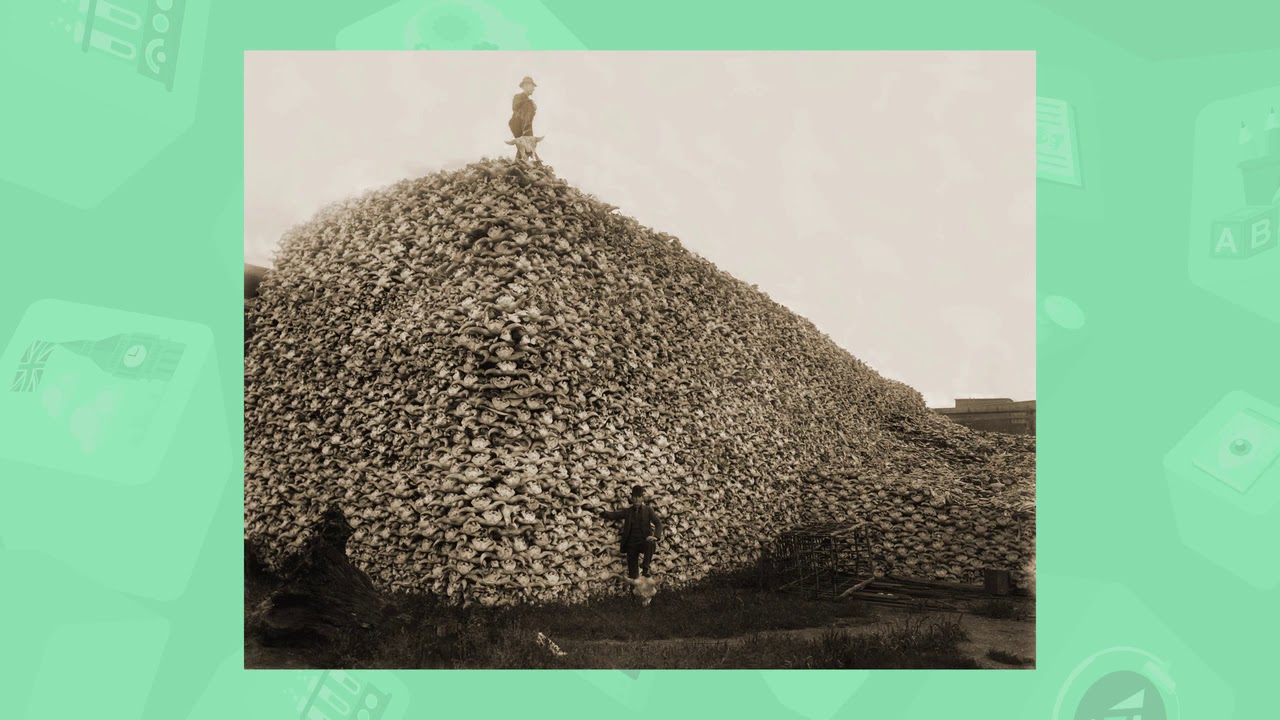 7 класс. Всемирная история. Какими способами расширялась территория США на запад? 10.04.2020