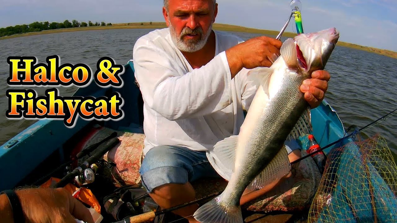 ГЛУБОКИЙ ТРОЛЛИНГ НА АХТУБЕ 2019, СУДАК ЛЮБИТ HALCO XDD и FISHYCAT, ДЖИГ УСТУПАЕТ