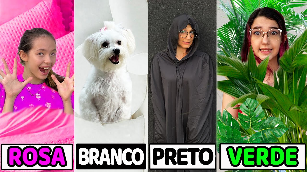 ESCONDE ESCONDE USANDO A COR SORTEADA !! QUEM SE ESCONDE MELHOR ? | Luluca