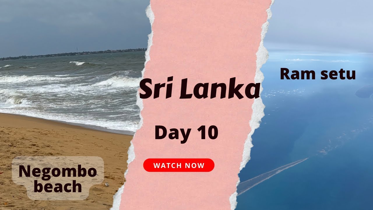 Sri Lanka Day 10 | Negombo beach | Dungalpitiya beach | Colombo airport | 