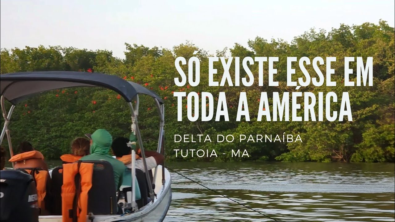 Passeio no Delta do Parnaíba (Tutoia - MA): Revoada dos Guarás e Pontal das Américas