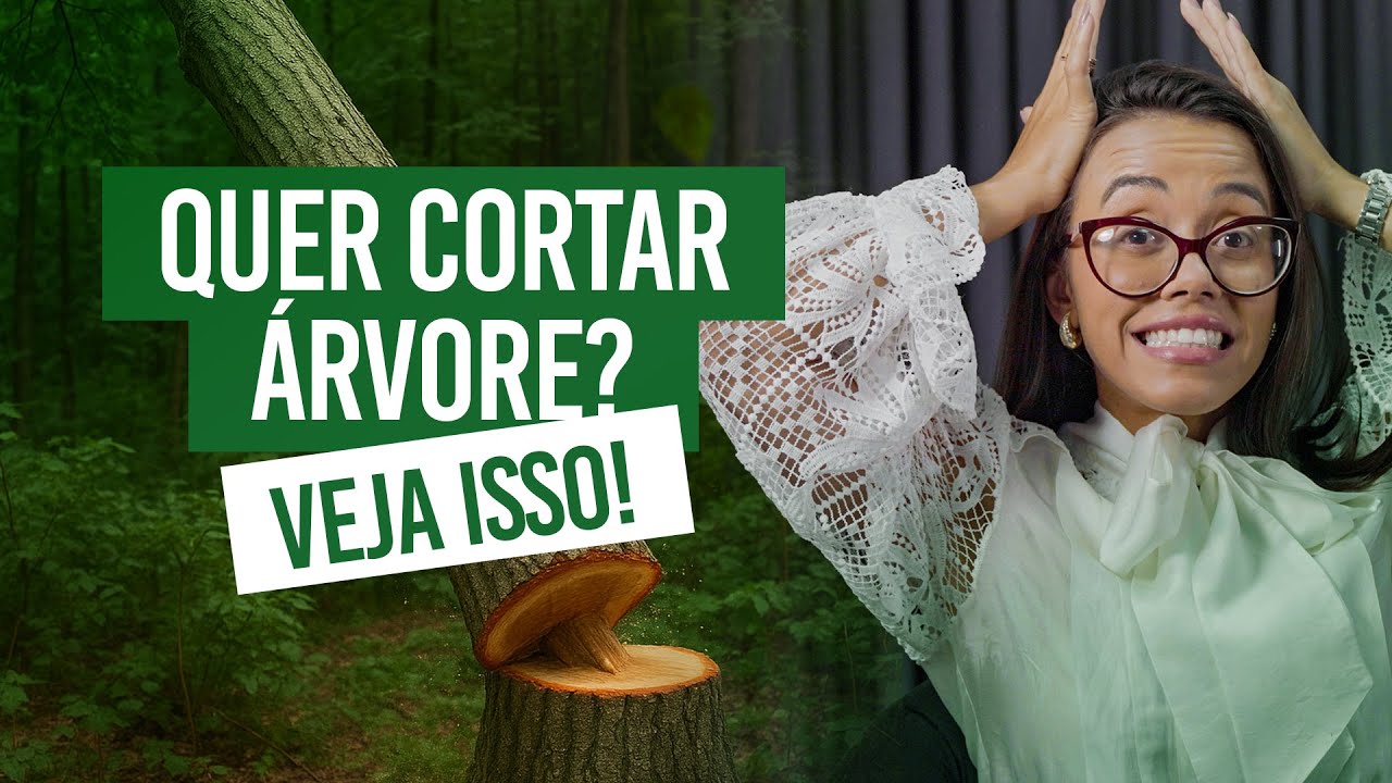 Corte de Árvore: Precisa de Autorização? Veja Antes de Fazer!